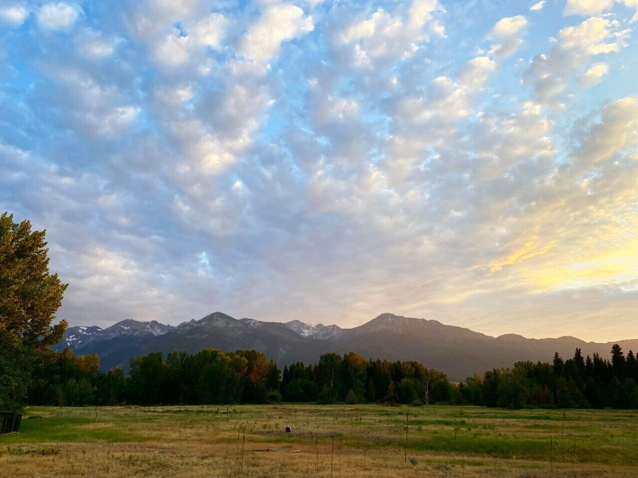 A mountainous landscape with a field in the foreground and a forested area.