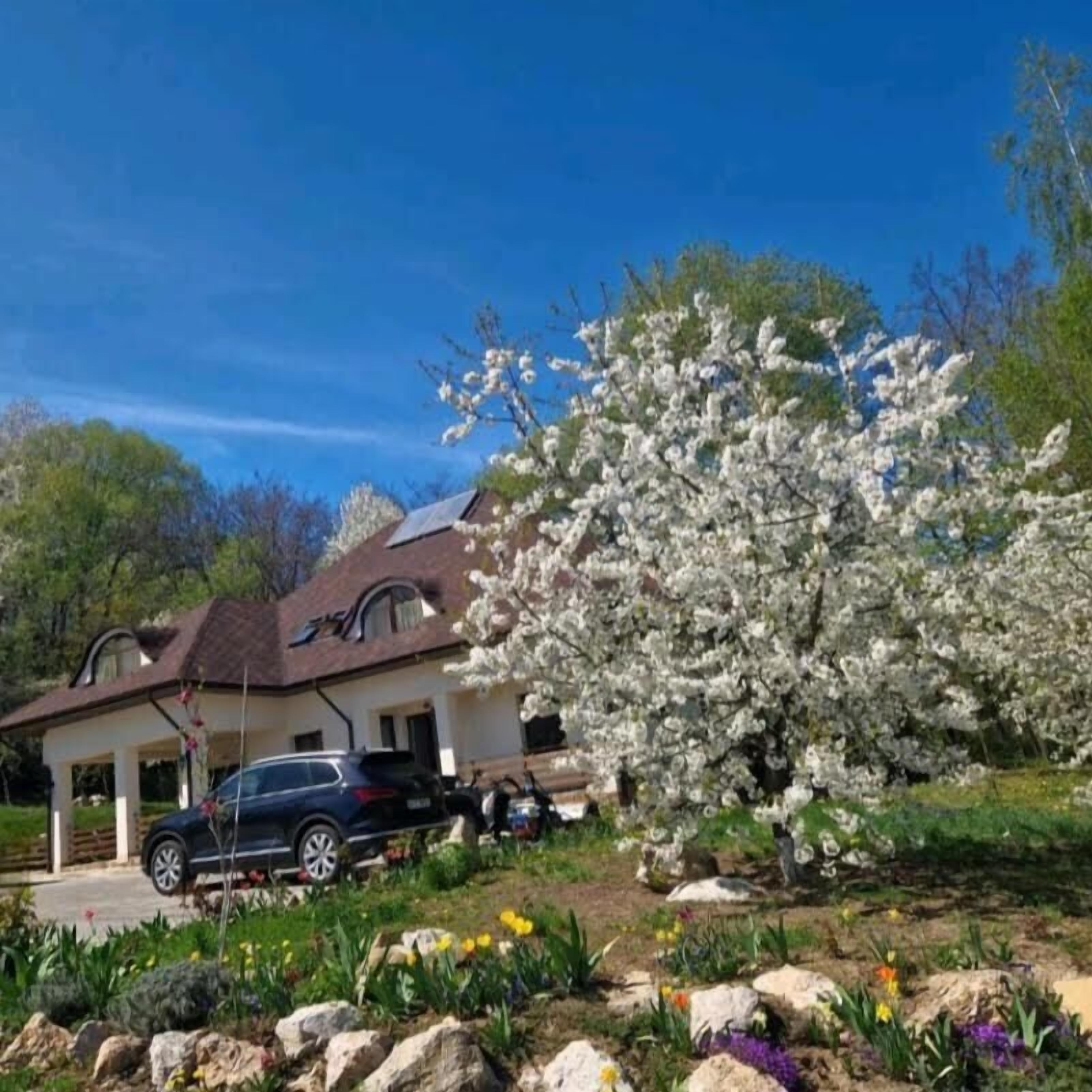 A house with a covered porch, a car parked in front, and a flowering tree.