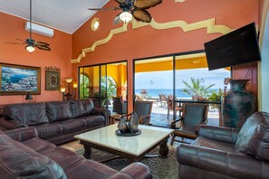 Smart TV, fireplace, books, music library