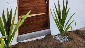 A wooden door with a textured finish, a wall-mounted light fixture, and two potted plants with long leaves.