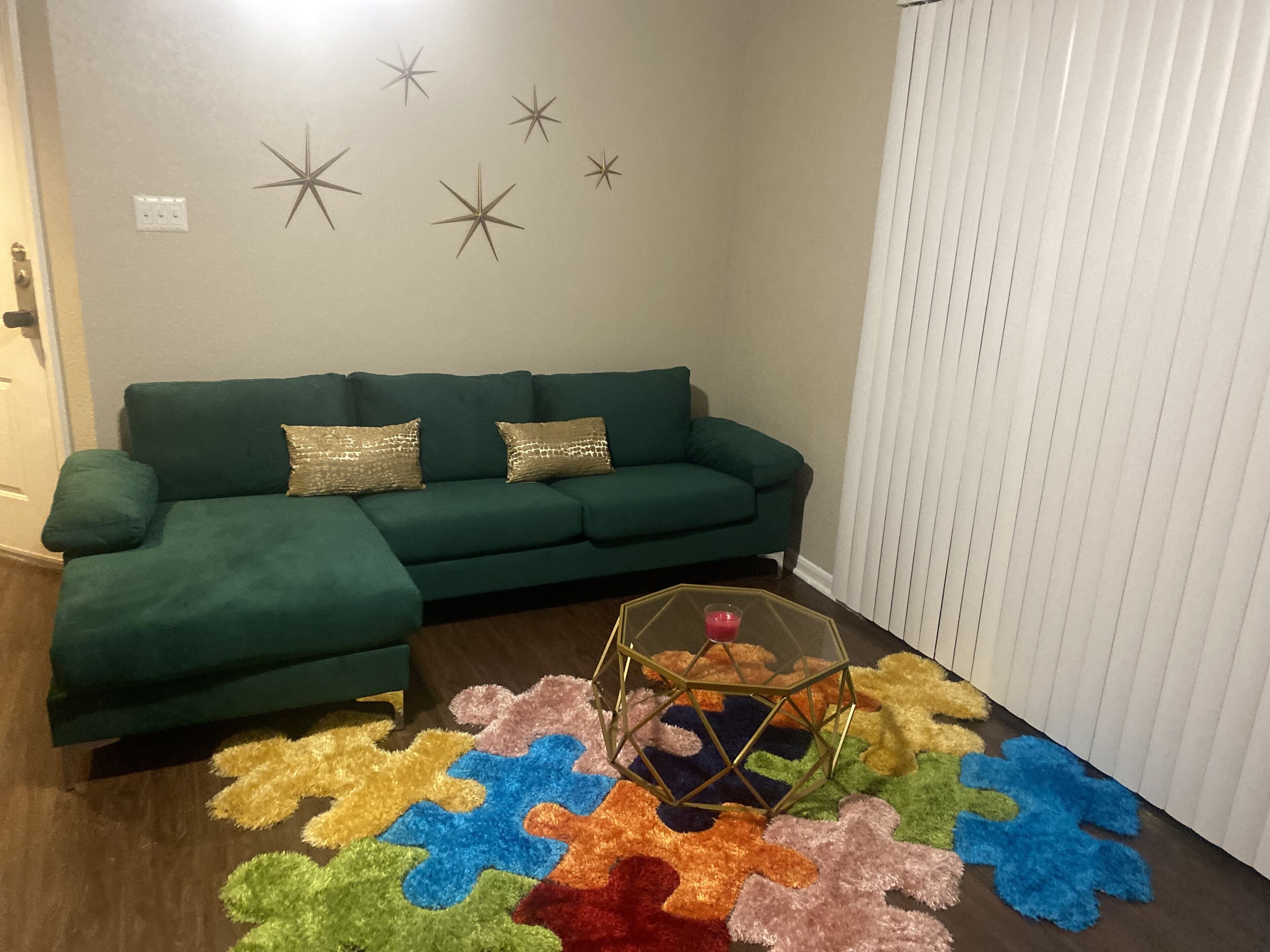 Big 1 bedroom in Houston
