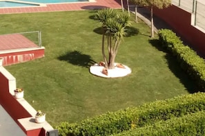 Ein gepflegter Rasen mit einer Palme, einer runden Sitzgruppe und einem Pool im Hintergrund.