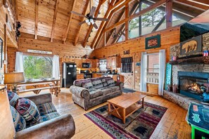 Televisión, chimenea, videojuegos, reproductor de DVD