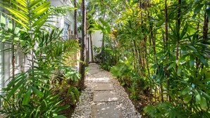 Un sendero bordeado de exuberante vegetación y piedras blancas, que atraviesa un jardín tropical.