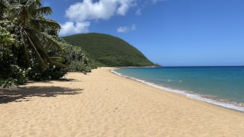 Beach nearby, sun loungers