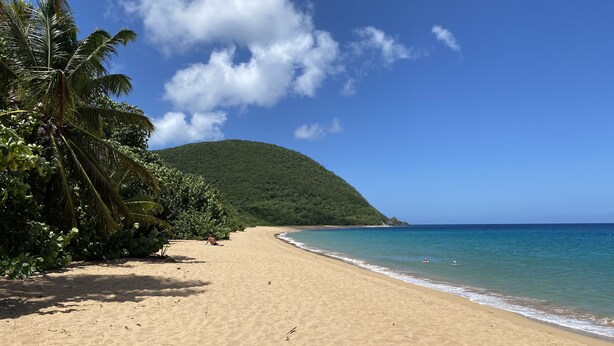 Une plage avec un rivage sablonneux, des palmiers et une montagne en arrière-plan.