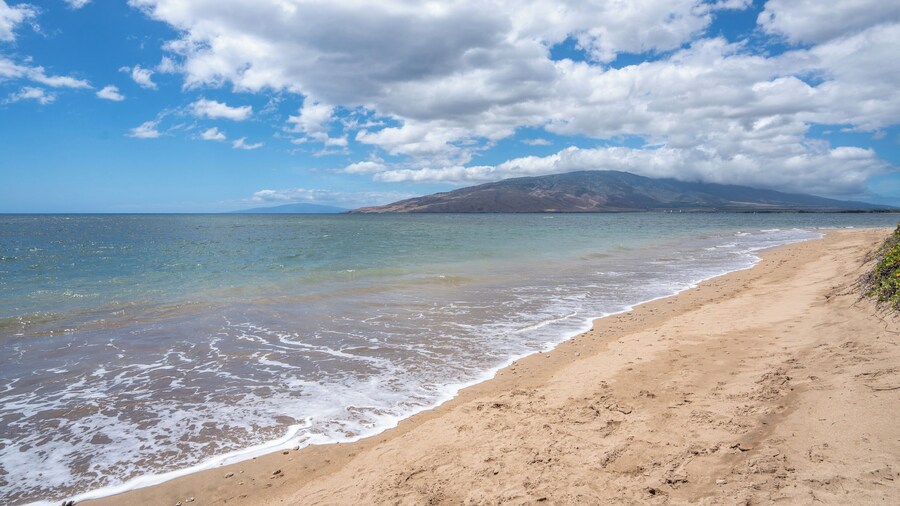 Refined Oceanfront Vistas