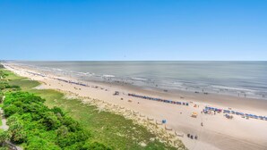 A beach with a long stretch of umbrellas and beach chairs, a sandy shore, and a clear blue sky. - $150 activities - E-gift card when you book - Oceanfront | Wrap-Around Balcony | M902 (Myrtle Beach)