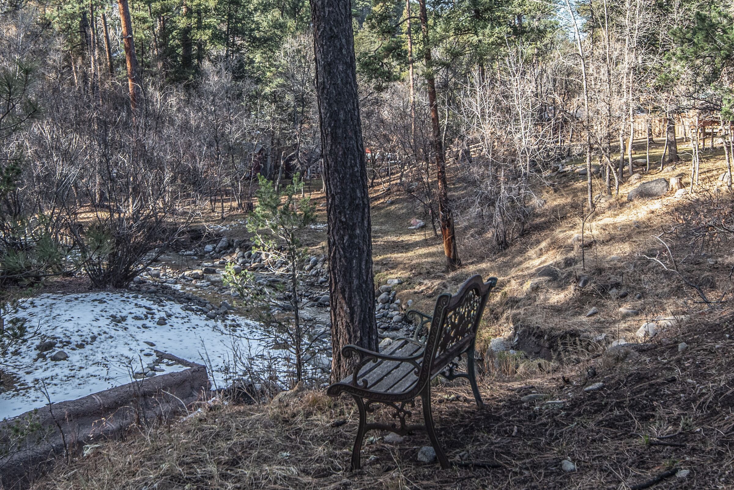 Un banc situé dans une zone boisée, près d’un petit étang et d’une structure en bois.