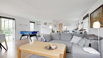 Fernseher