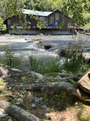 Property grounds - Stunning Views, Superb Atmosphere, Modern Amenities, In the Middle of Nature (Bryson City)