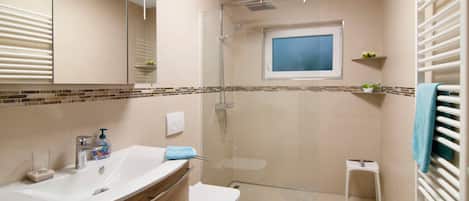 Shower, hair dryer, towels