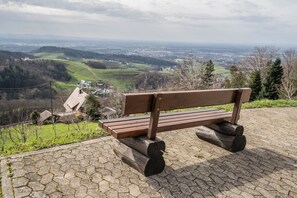 Property grounds - Holiday Apartment "Adlerhorst" with Shared Terrace, Balcony & Wi-Fi (Sasbachwalden)