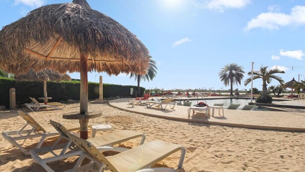 A beach with sun loungers, a pool, and palm trees. - LUX 2BR Condo | Gold Coast Pools & Gym Near Malmok (Noord)