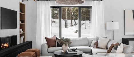 TV, fireplace, books, stereo