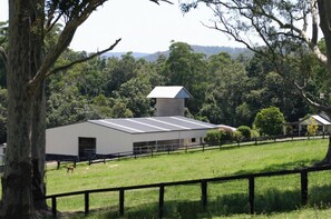 Surrounded by a lush forest and rolling hills, this serene rural retreat offers a peaceful escape.