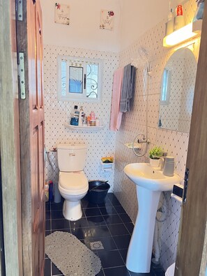 Hair dryer, towels, soap, shampoo