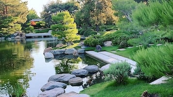 A serene garden with a pond, rocks, and various plants.