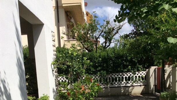 Un patio con plantas en macetas, una cerca blanca y un sendero de piedra.