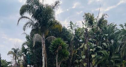 Cozy Suburban Home with big pool, <5 minutes to City, Avondale/Groombridge shops