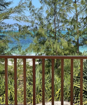 Exterior - Kivuli Beach Resort Paje (Paje)