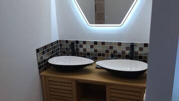 Shower, hair dryer, toilet paper