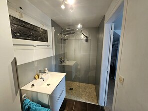 Shower, hair dryer, bidet