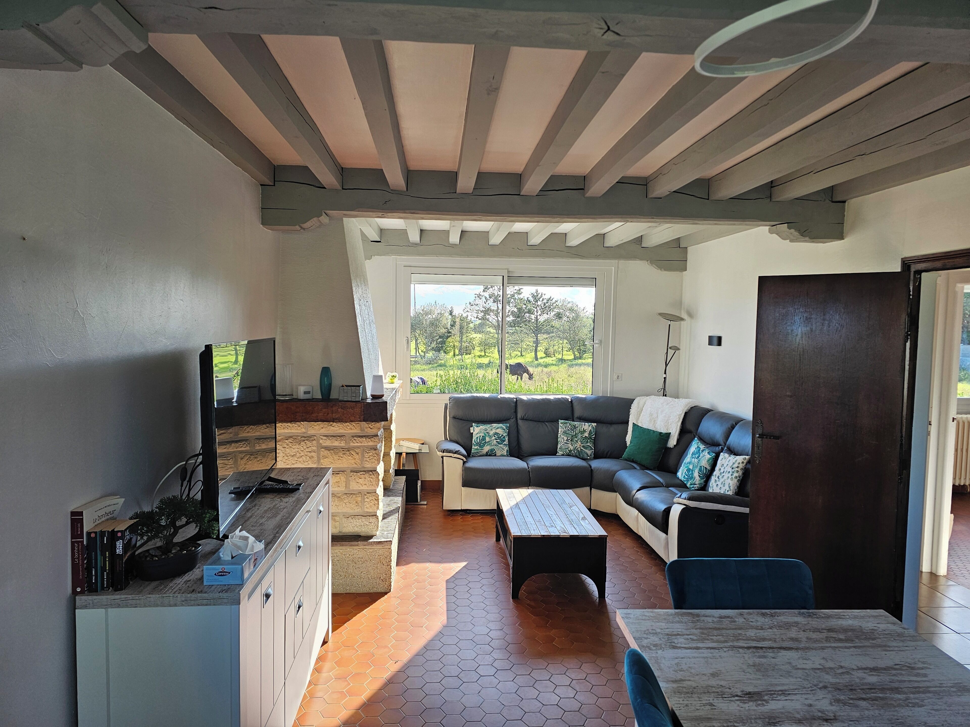 TV connectée, cheminée