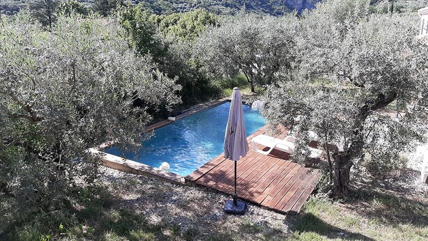 A swimming pool surrounded by olive trees, with a wooden deck and a single umbrella. - Villa des Oliviers (Buis-les-Baronnies)