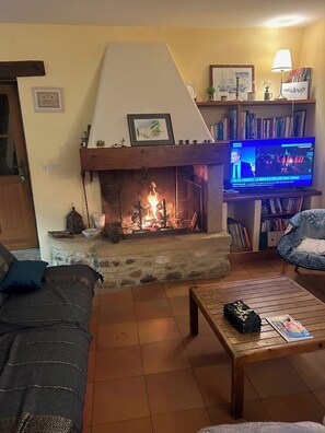 Televisio, takka, DVD-soitin, kirjoja