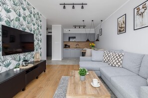 Fernseher, Arbeitsbereiche