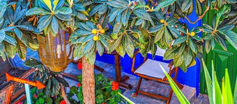 Symi Garden Studios
