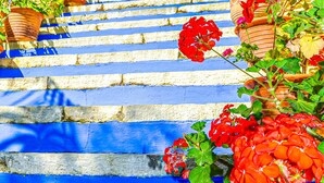 A set of blue-painted steps leading to a building entrance, surrounded by potted plants and flowers. - Symi Garden Studios (Symi)