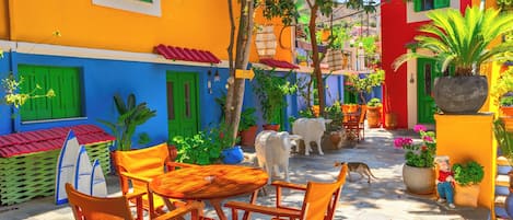 Jardín