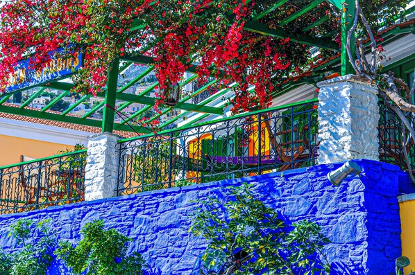 A vibrant balcony with red flowers, a blue wall, and a metal railing.