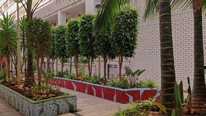 Un patio con un sendero adoquinado, palmeras y un muro de ladrillo.