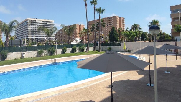 Una piscina con agua cristalina azul, rodeada de palmeras y una valla. Se ven sombrillas y un farol.