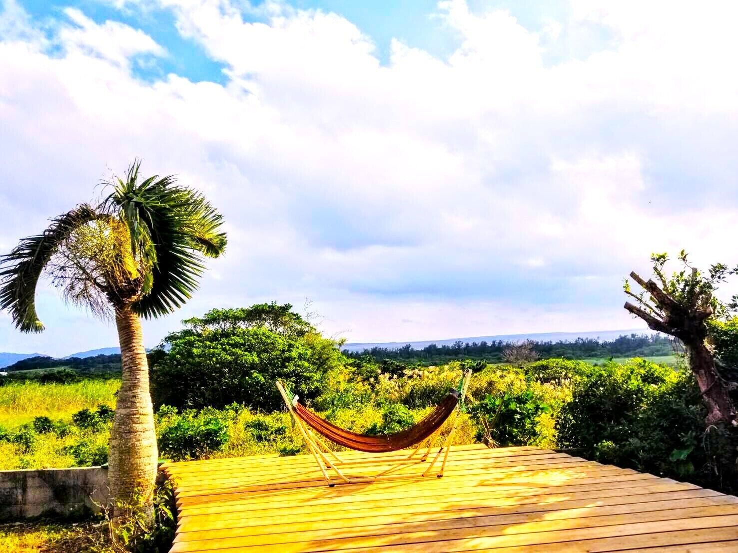 Terrein van de accommodatie