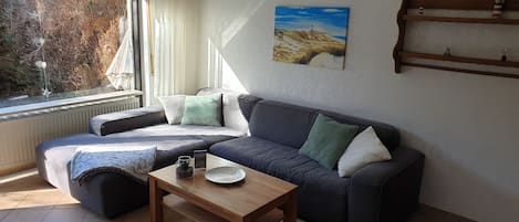 Fernseher, Bücher