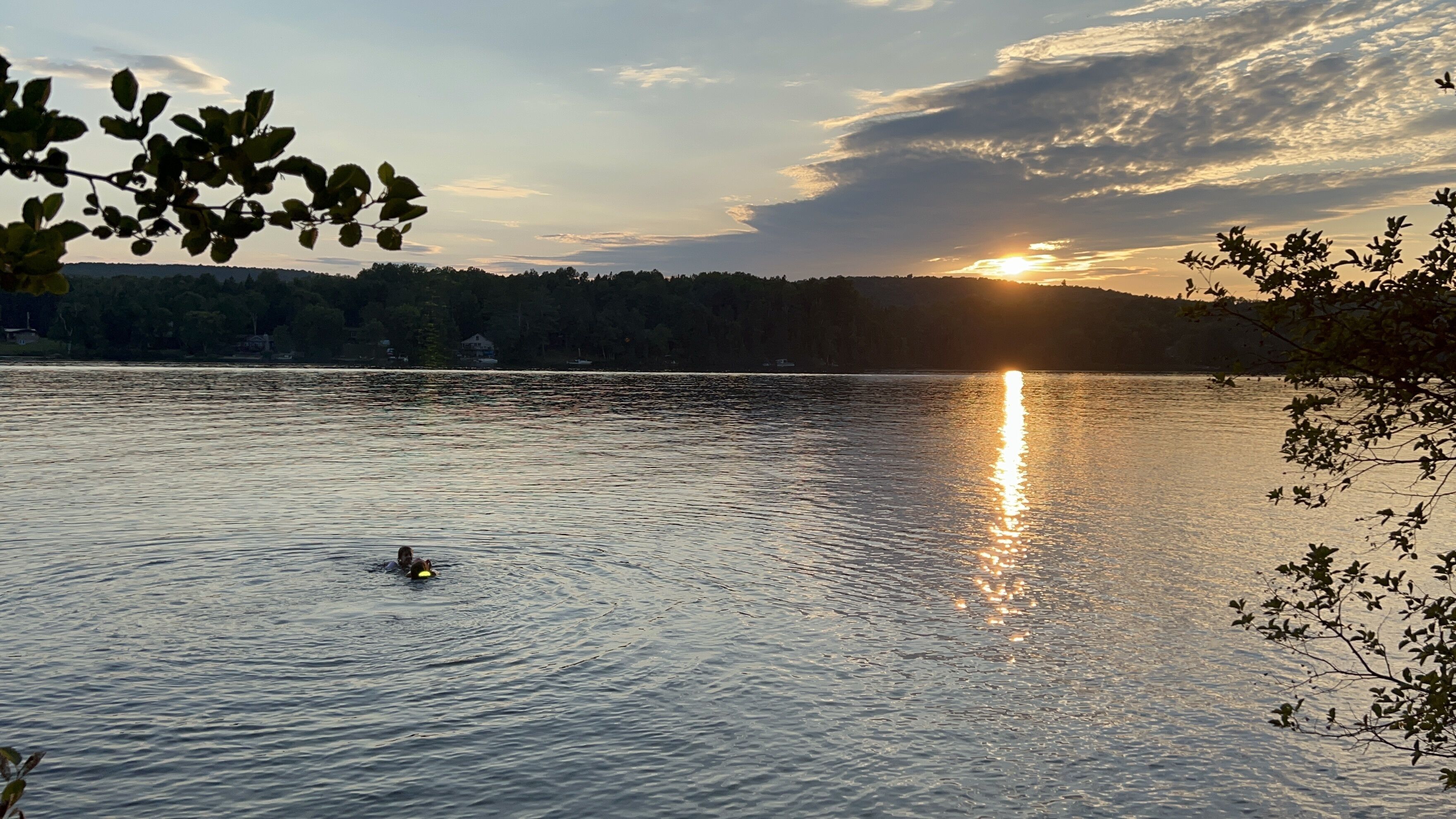 Brand new cottage oasis directly on the lake!