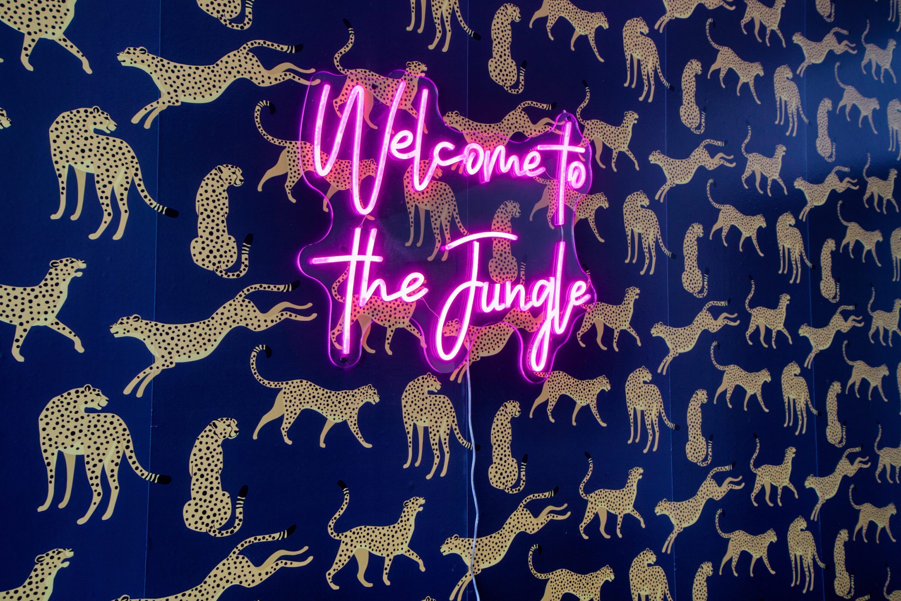 This apartment is a 2 bedroom(s), 1 bathrooms, located in Jacksonville, FL.