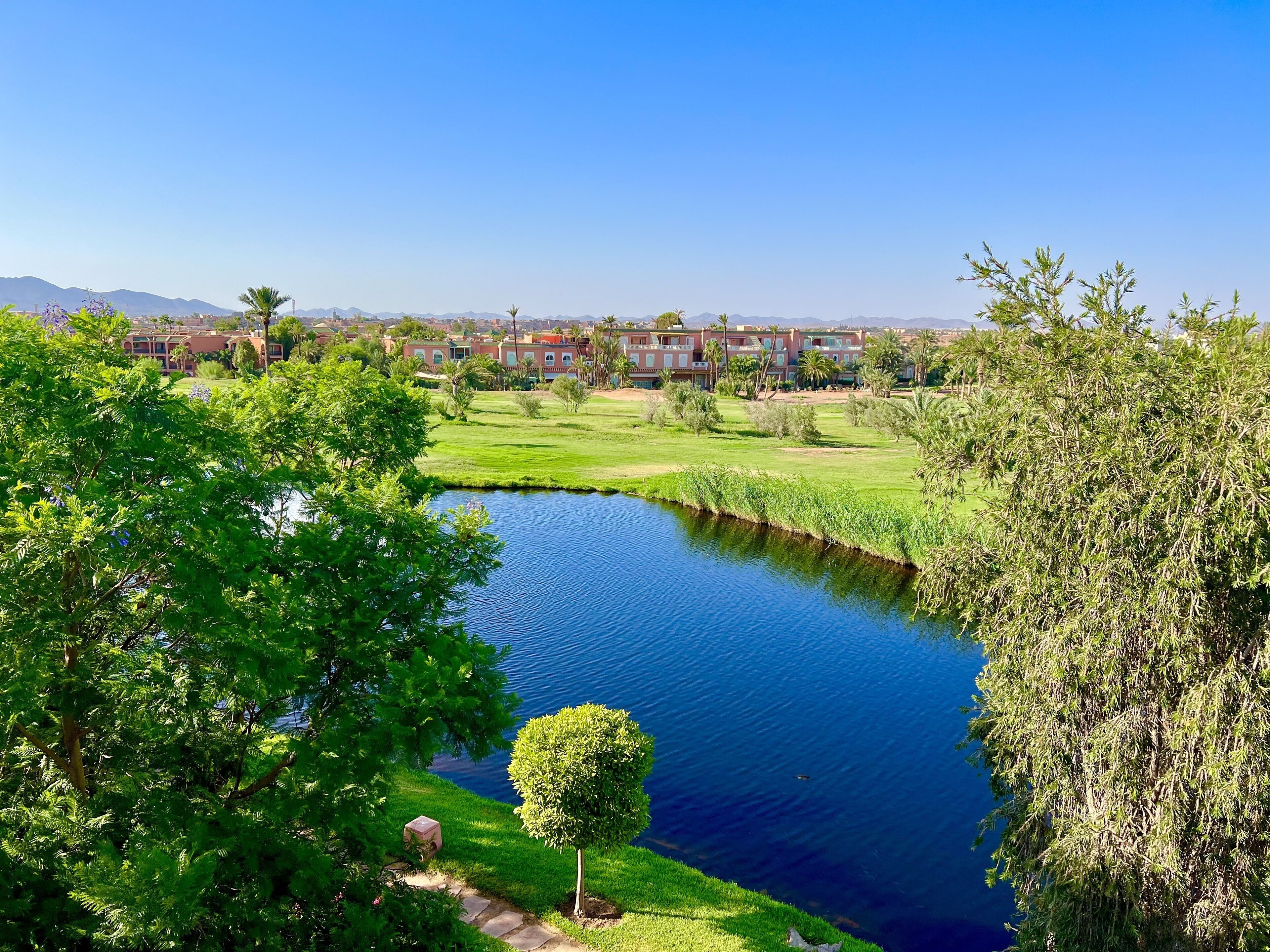 Foto - Palmeraie Golf Suites By Pickalbatros