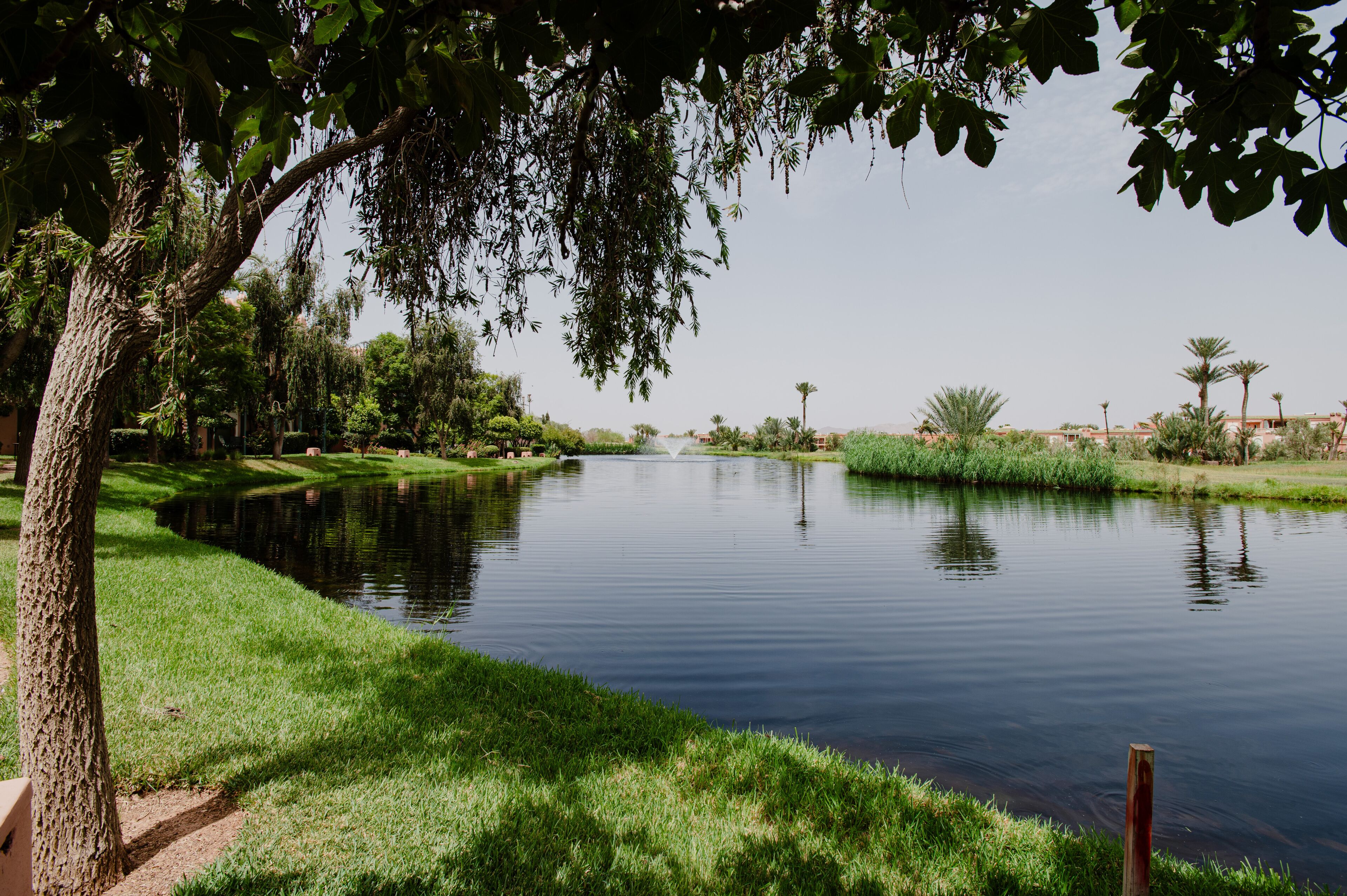 Foto - Palmeraie Golf Suites By Pickalbatros