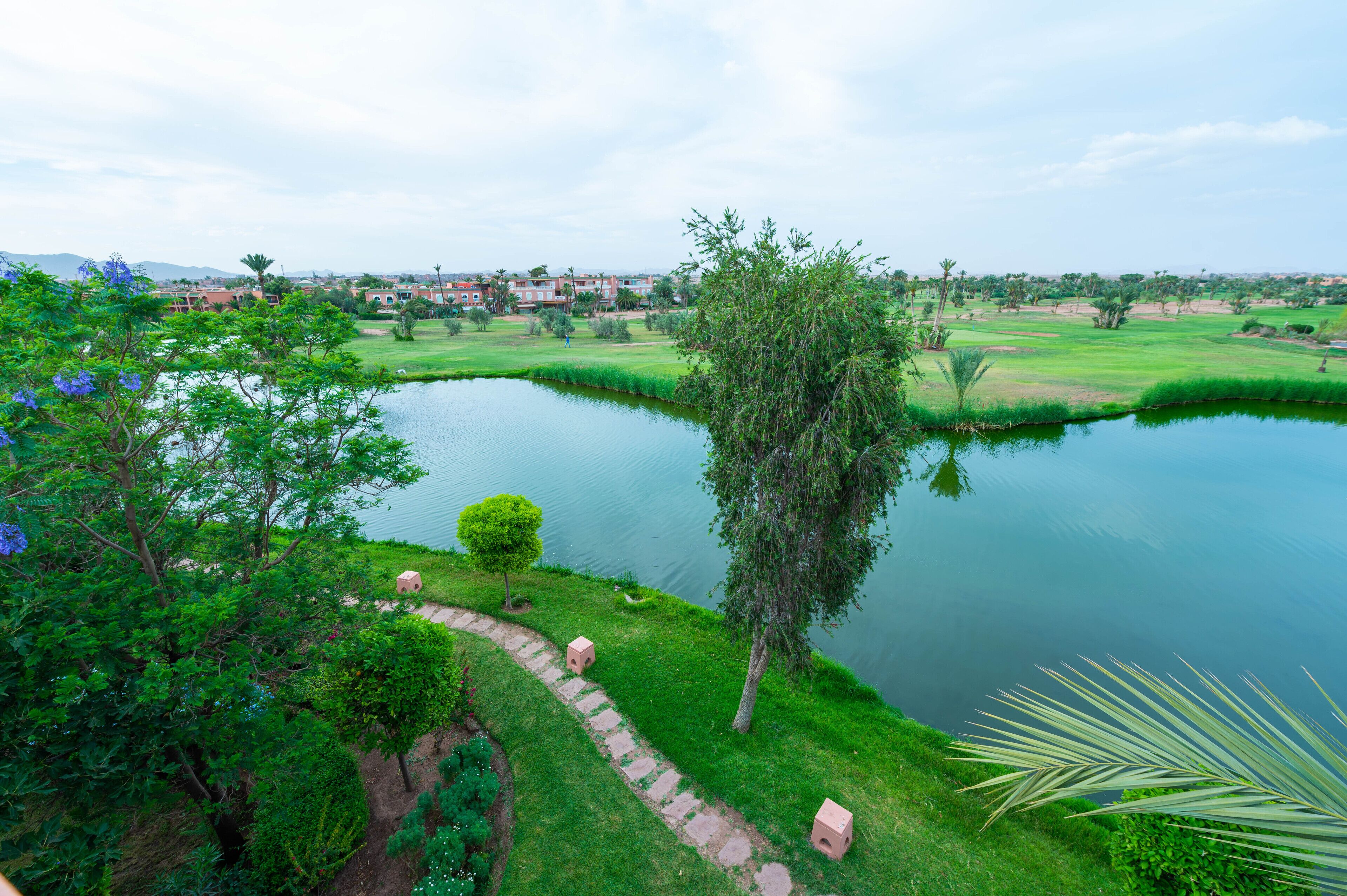 Foto - Palmeraie Golf Suites By Pickalbatros