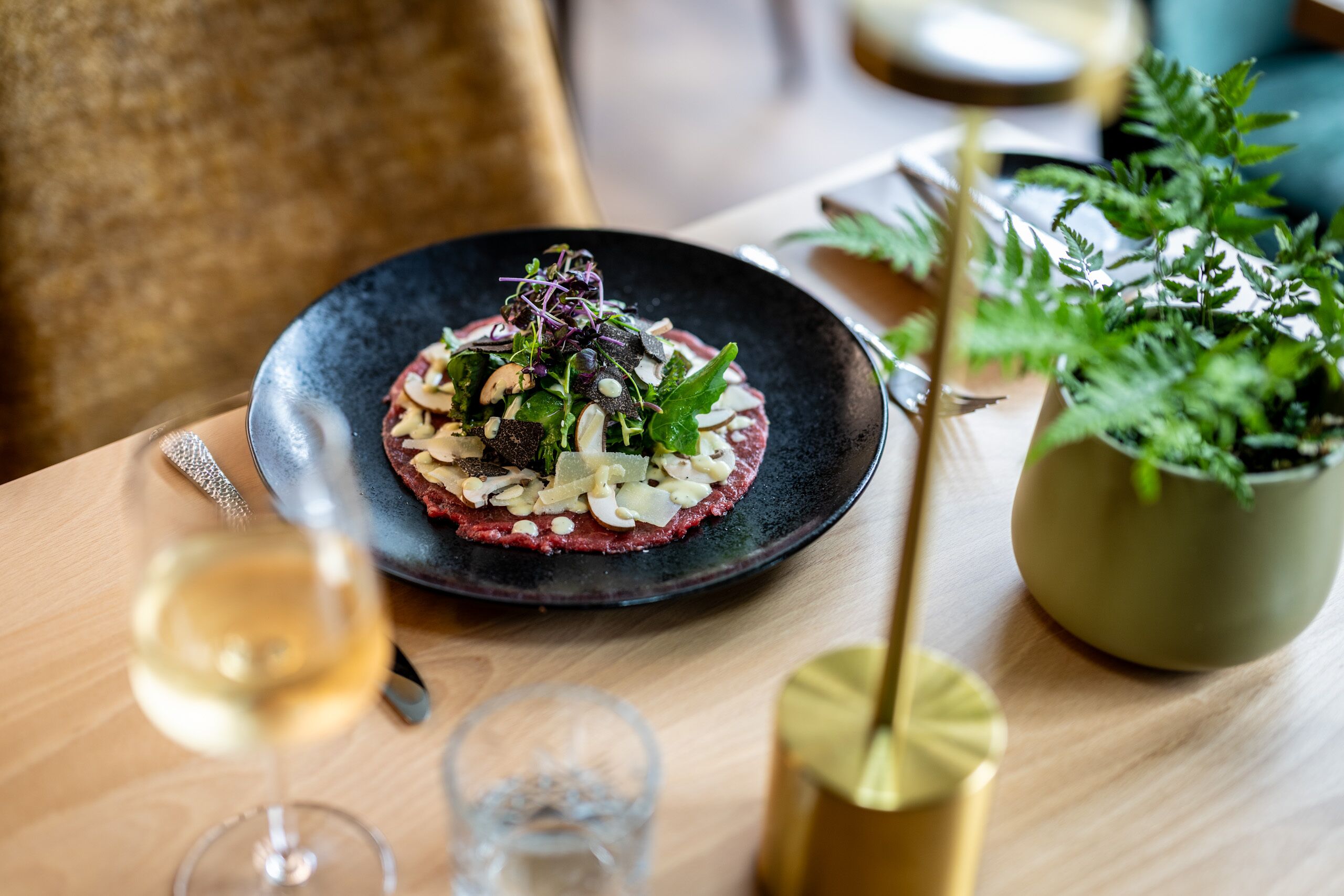 A dining table with a black plate of food, a glass of white wine, and a potted plant.