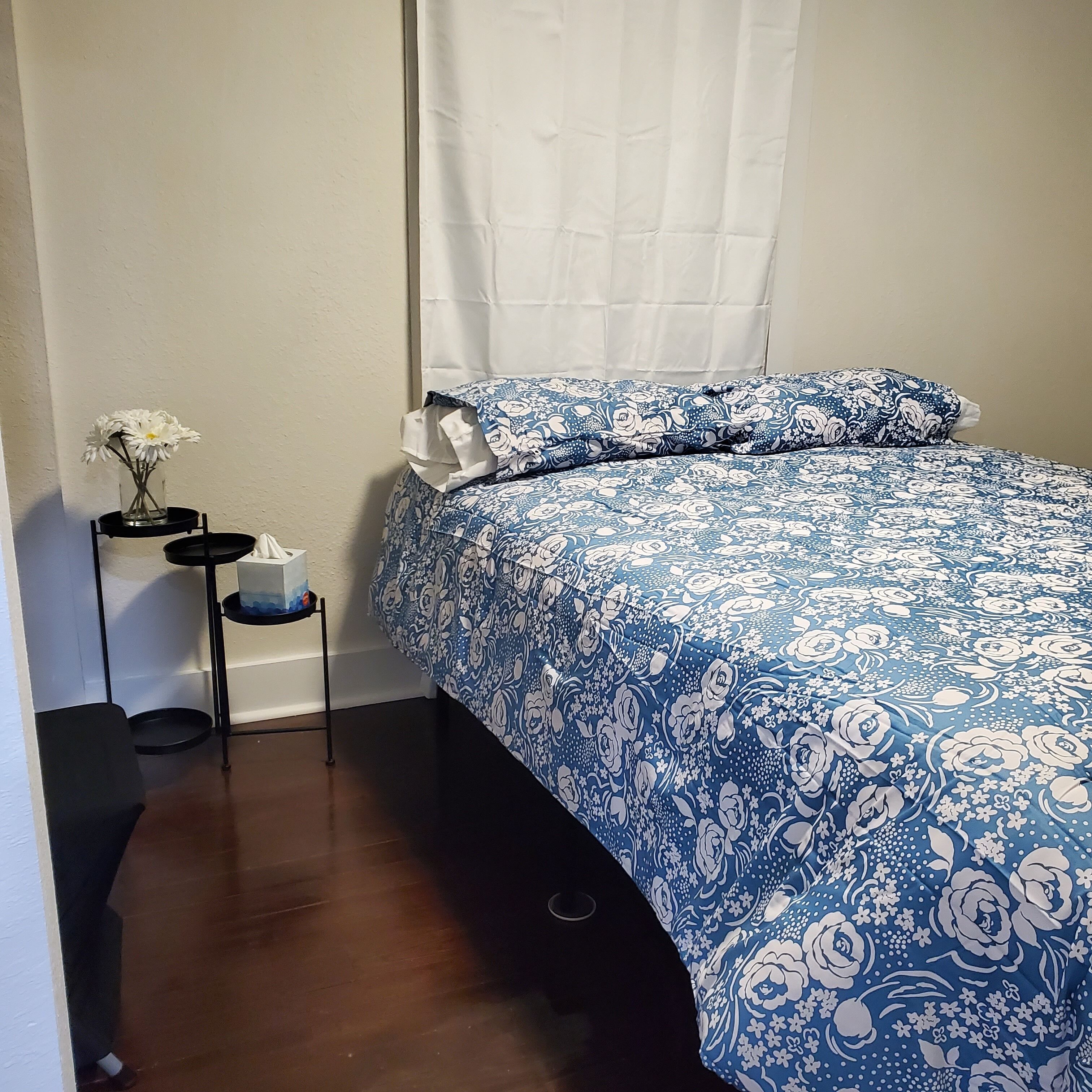 Cozy home walkable boho downtown