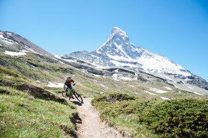 Un ciclista de montaña en un sendero de tierra, con un pico nevado al fondo.