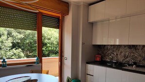 Eine moderne Küche mit weißen Schränken, einer schwarzen Arbeitsplatte und einem Fenster mit Blick auf Grünflächen.