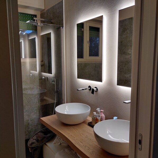 Shower, hair dryer, bidet, towels