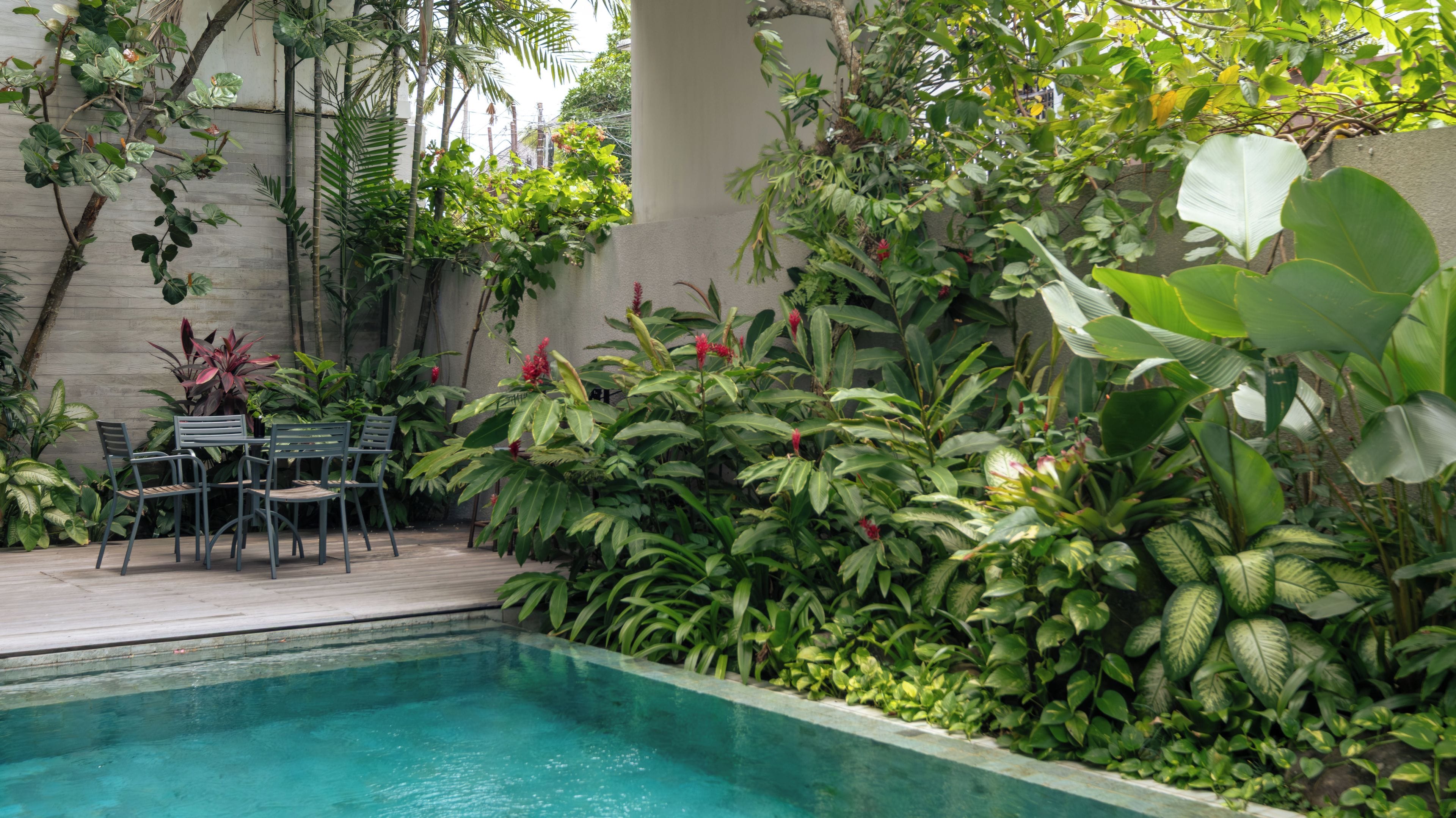 Una piscina rodeada de abundante vegetación y un espacio de descanso con sillas.